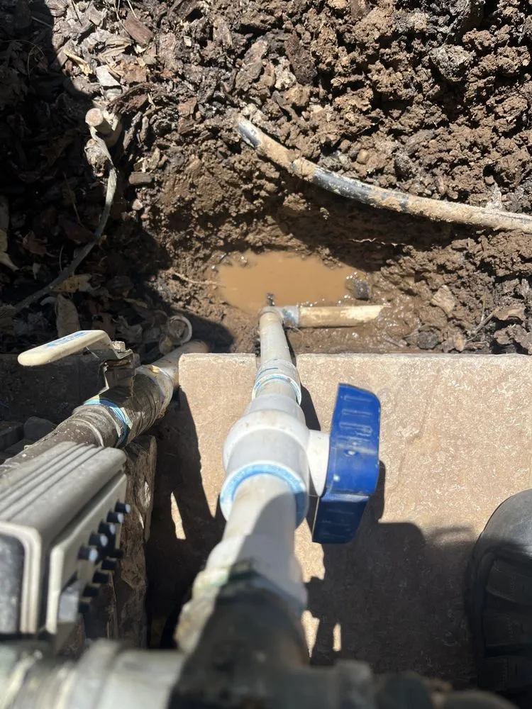 Top-rated lawn care service for residential properties across San Jose, CA - Eagle Contractor Landscape