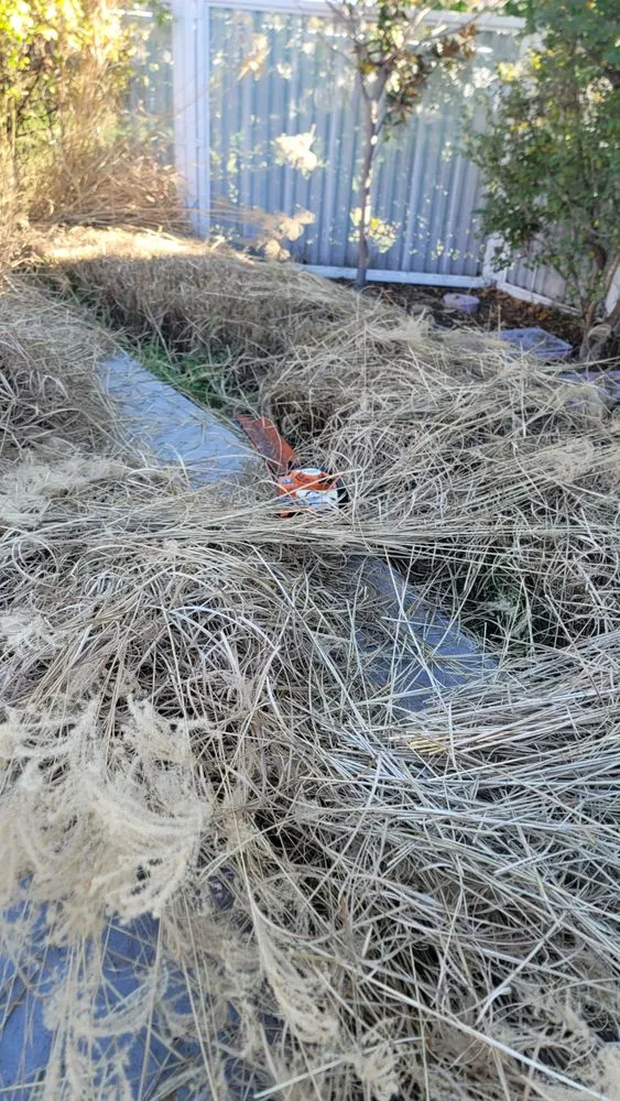 Reliable residential landscaping near you across San Jose, CA - Eagle Contractor Landscape