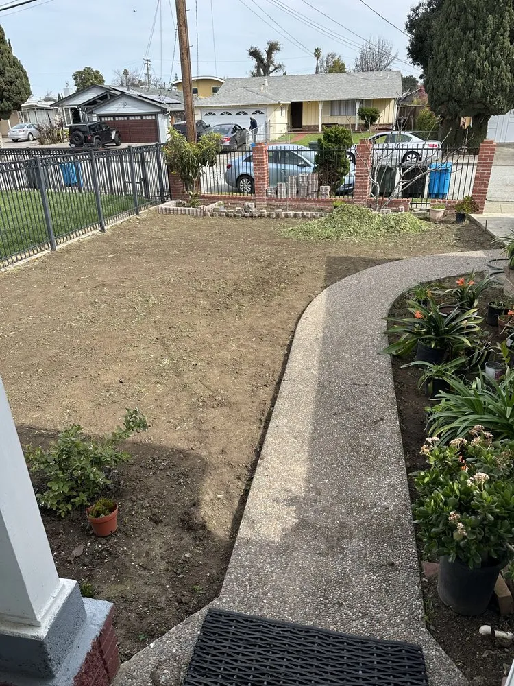 Top-rated yard cleanup service with custom design across San Jose, CA - Eagle Contractor Landscape