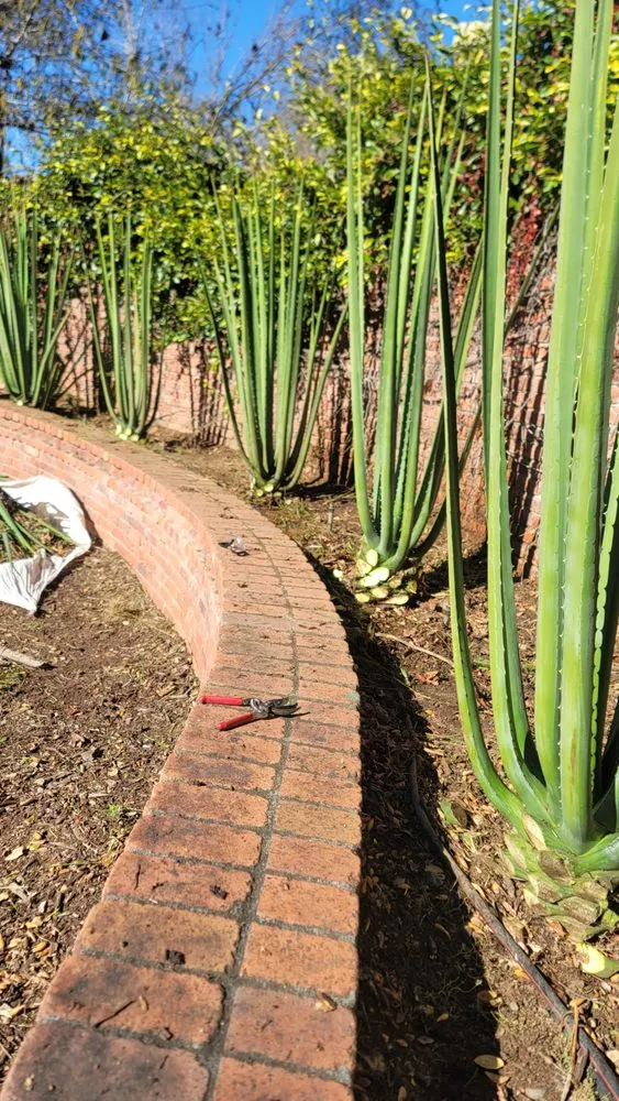 Custom landscaping services experts serving San Jose, CA - Eagle Contractor Landscape