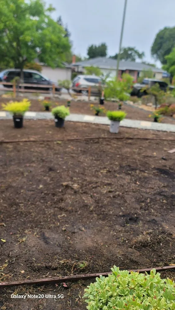 Top-rated outdoor landscaping near you across San Jose, CA - Eagle Contractor Landscape