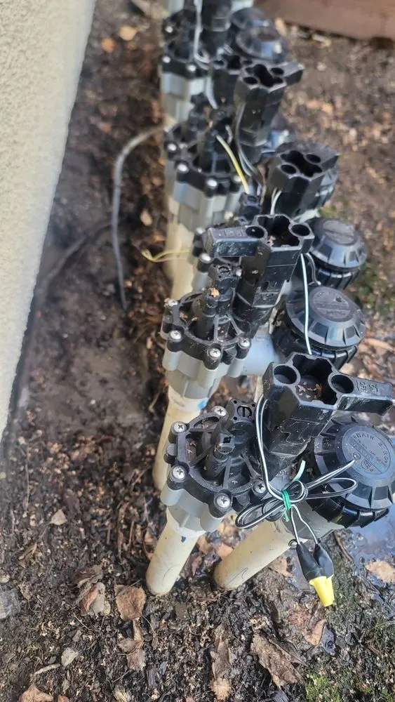 Trusted landscape installation for year-round maintenance across San Jose, CA - Eagle Contractor Landscape