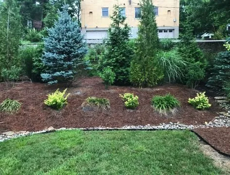 Professional yard maintenance in Cincinnati, OH by Eagle Creek Landscape & Design