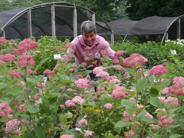 Custom yard cleanup service in Indianapolis, IN by Eagle Creek Nursery & Landscape