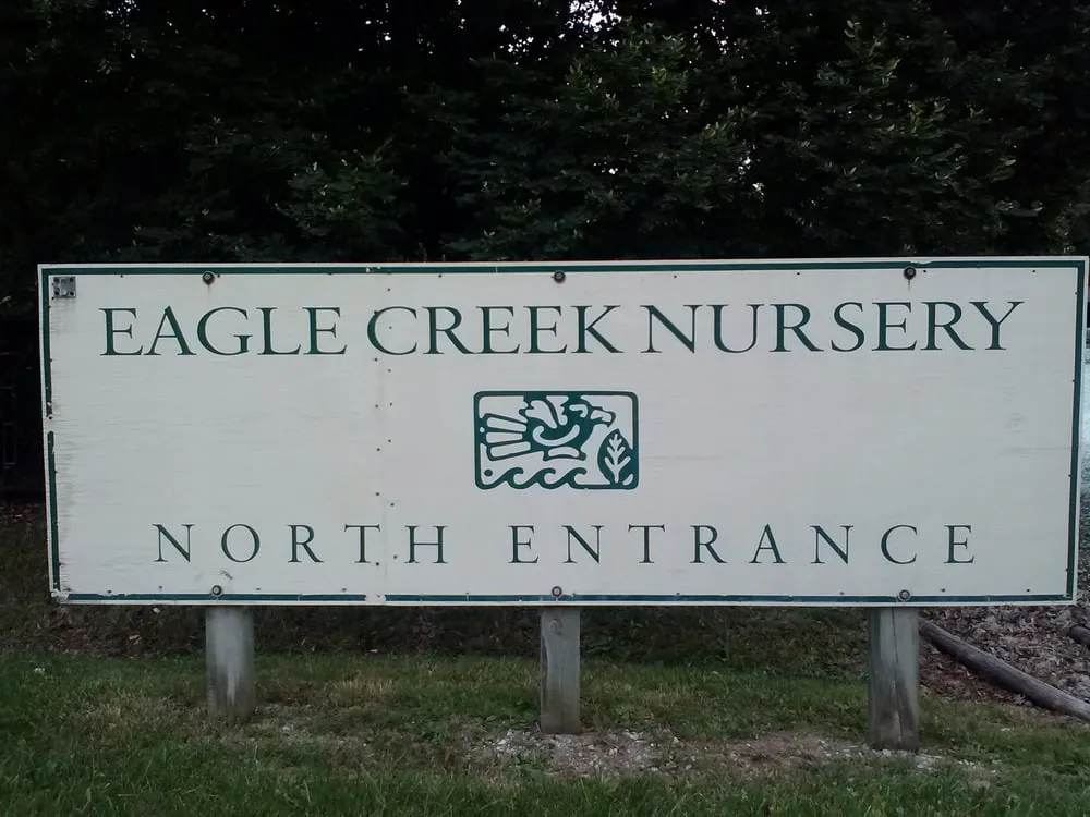 Trusted yard cleanup service near you across Indianapolis, IN - Eagle Creek Nursery & Landscape