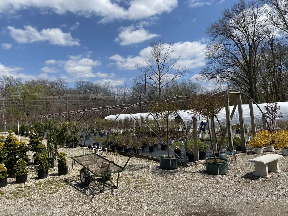 Custom yard cleanup service experts serving Indianapolis, IN - Eagle Creek Nursery & Landscape