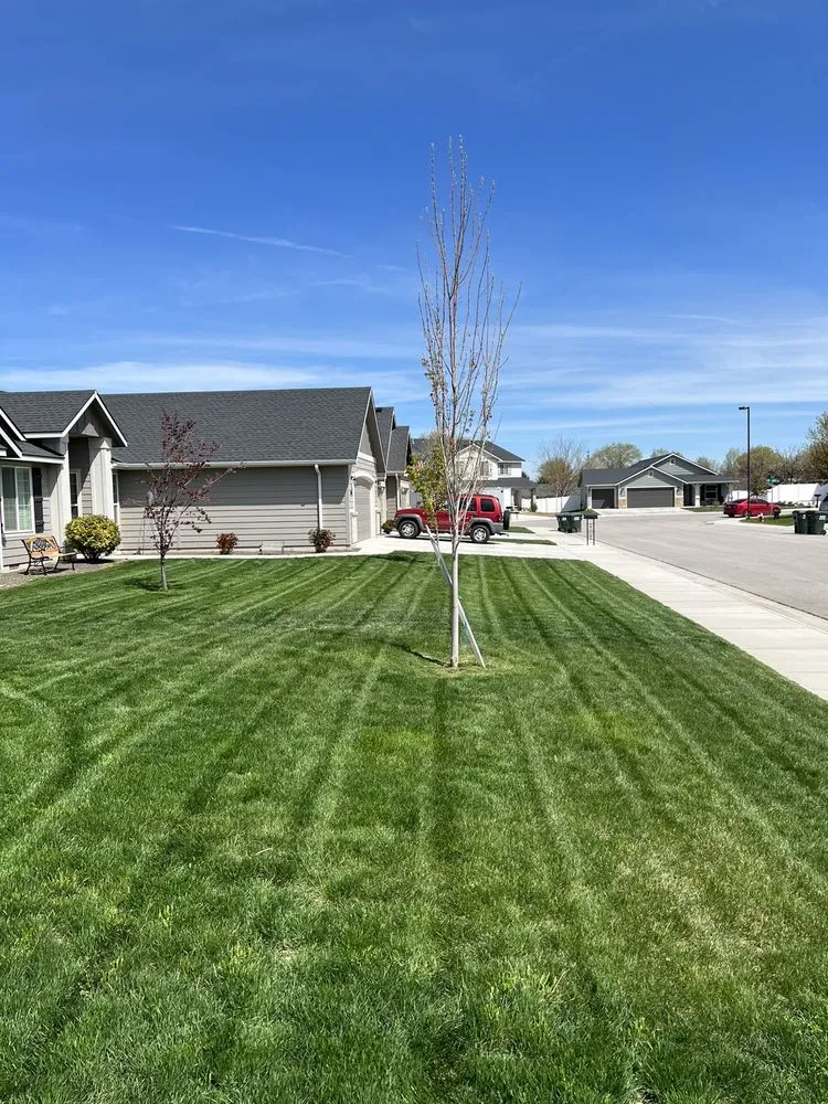 Trusted yard cleanup service for residential properties in Kuna, ID by Eagle Crest Landscaping