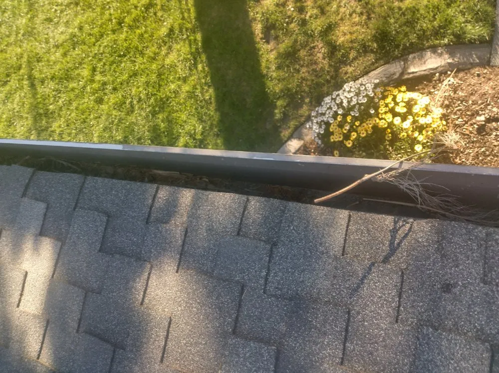 Trusted lawn care service near you in Sacramento, CA by Eagle Eye Gutters & Repair