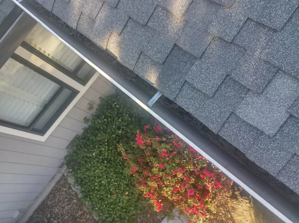 Top-rated residential landscaping with custom design in Sacramento, CA by Eagle Eye Gutters & Repair