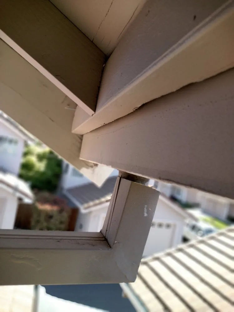 Reliable yard cleanup service near you across Sacramento, CA - Eagle Eye Gutters & Repair