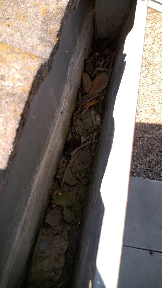 Trusted yard cleanup service in Sacramento, CA by Eagle Eye Gutters & Repair