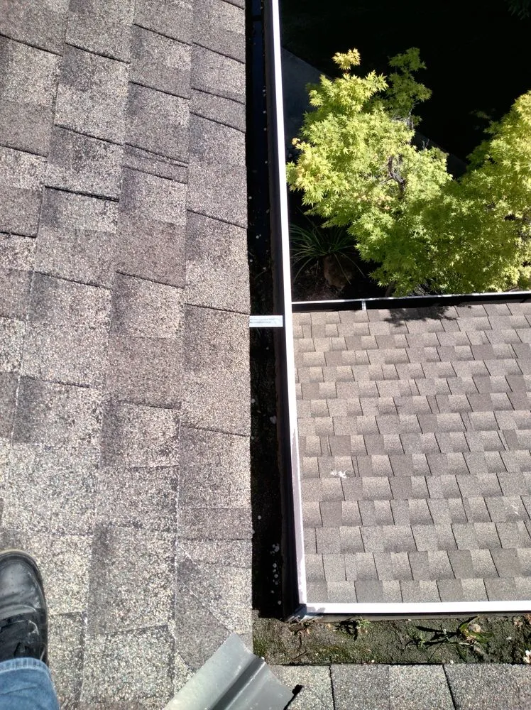 Reliable garden landscaping in Sacramento, CA - Eagle Eye Gutters