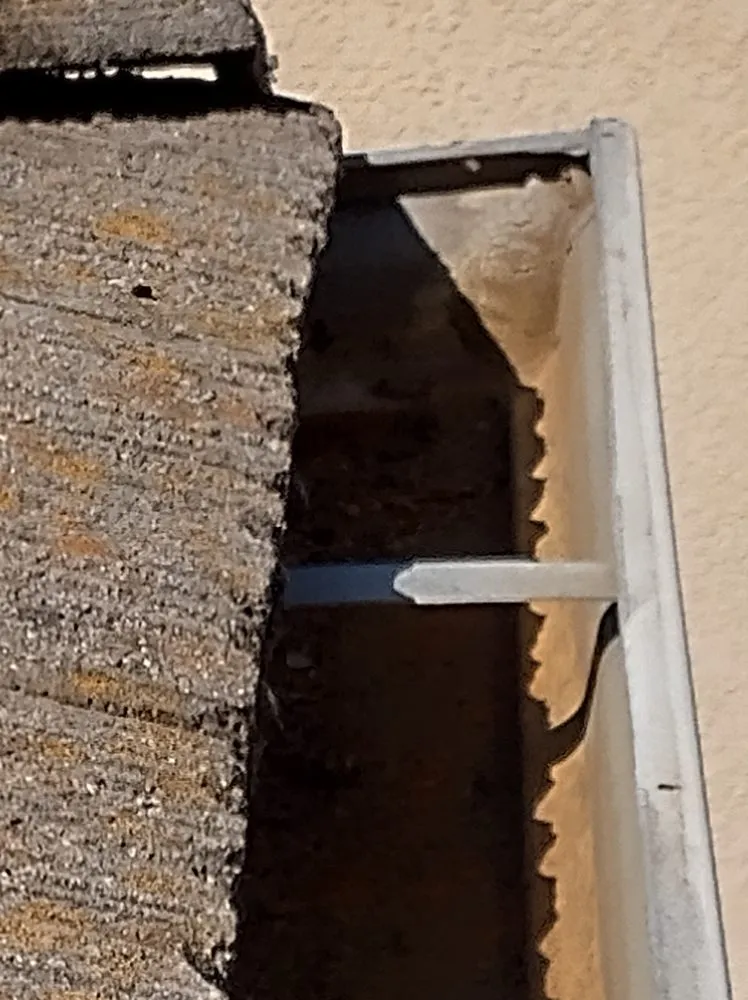 Expert residential landscaping with custom design across Sacramento, CA - Eagle Eye Gutters