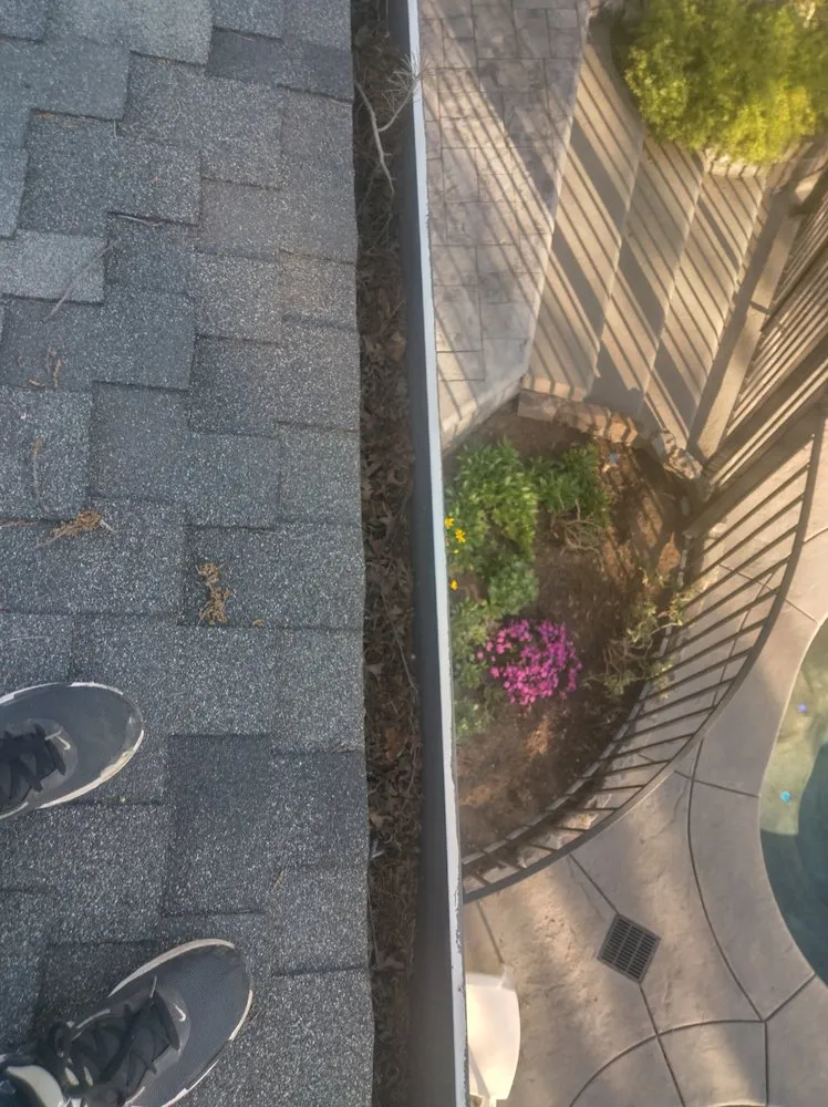 Affordable yard maintenance in Sacramento, CA by Eagle Eye Gutters