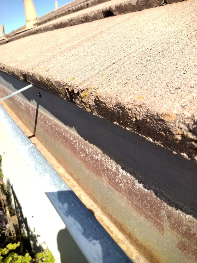 Professional landscape installation in Sacramento, CA by Eagle Eye Gutters