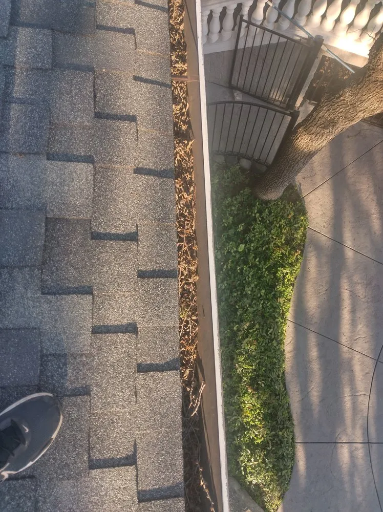 Top-rated residential landscaping for residential properties in Sacramento, CA by Eagle Eye Gutters