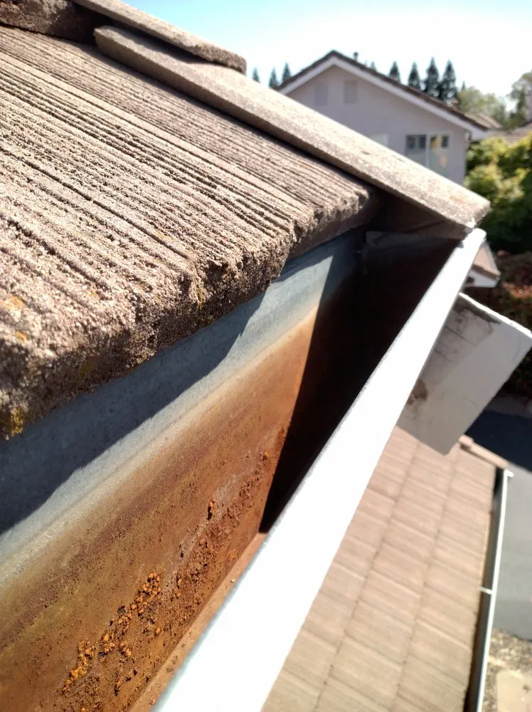 Professional lawn mowing service for homes across Sacramento, CA - Eagle Eye Gutters