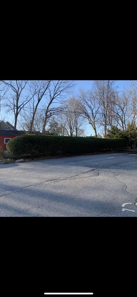 Custom lawn mowing service experts serving Lynn, MA - Eagle Eye Landscape & Construction Inc