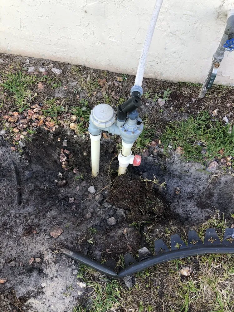 Local yard cleanup service for residential properties across North Miami, FL - Eagle Eye Landscaping