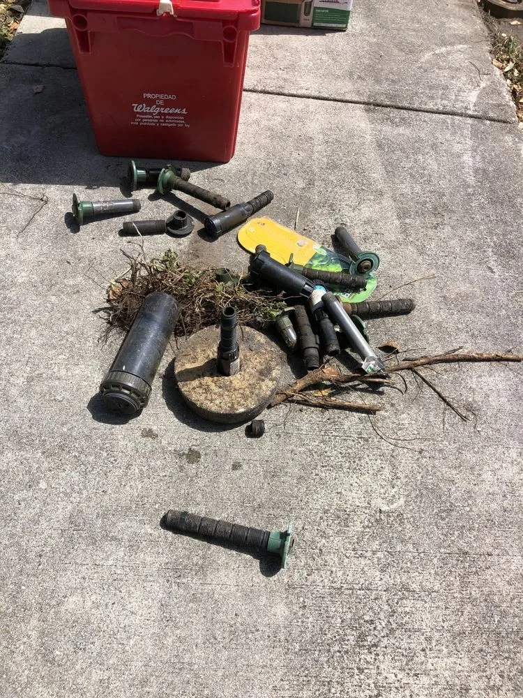 Affordable garden landscaping for beautiful yards across North Miami, FL - Eagle Eye Landscaping