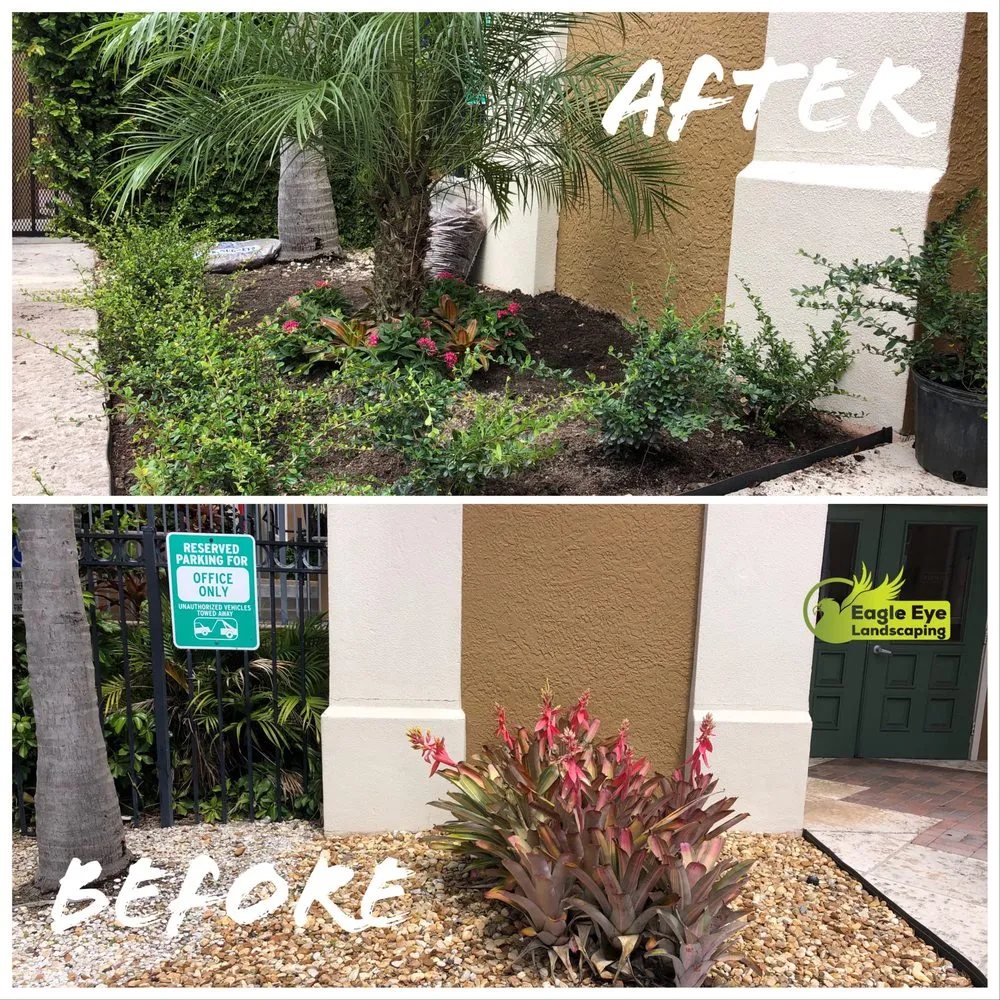 Professional landscape design near you across North Miami, FL - Eagle Eye Landscaping