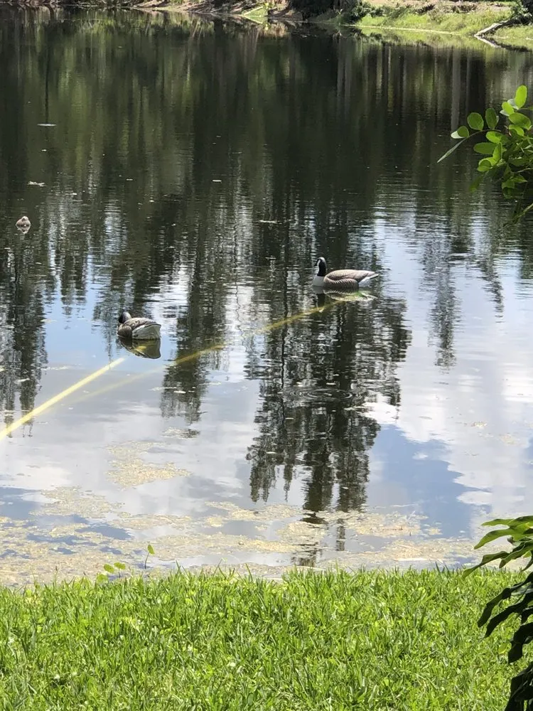 Affordable residential landscaping in North Miami, FL - Eagle Eye Landscaping