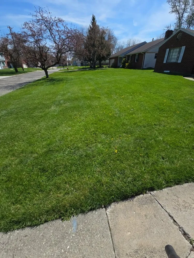 Local landscape installation experts serving Monroe, MI - Eagle Eye Lawn Care