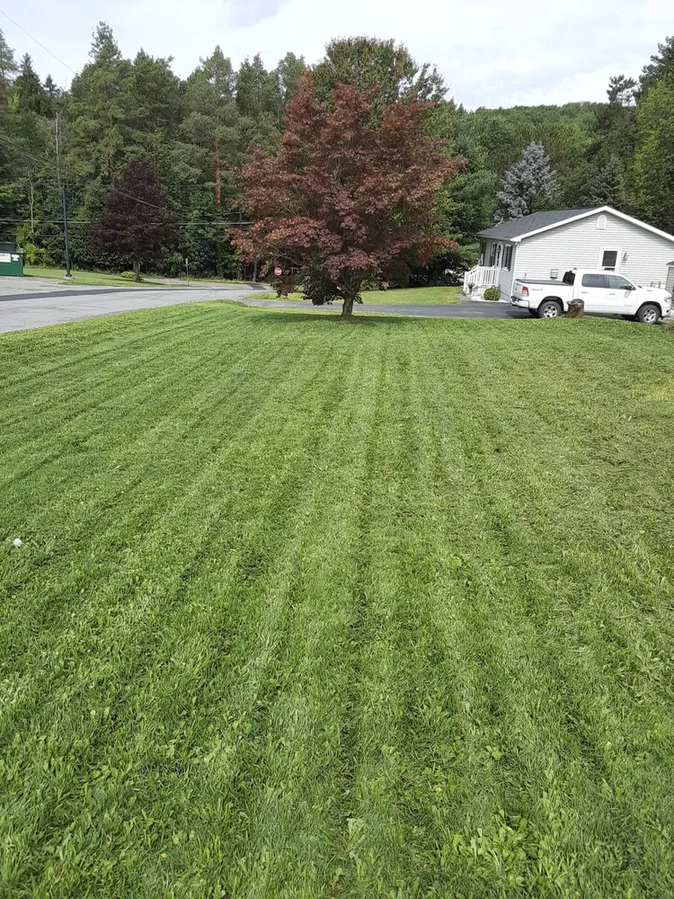 Reliable landscape installation near you in Vandling, PA by Eagle Eye Lawn Care