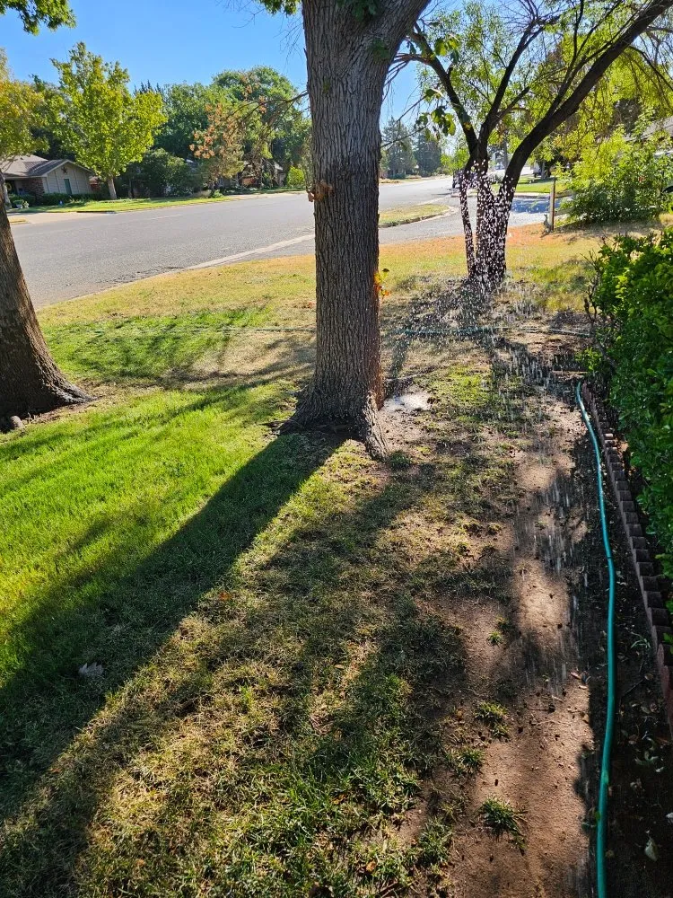 Trusted yard maintenance with custom design across Lubbock, TX - Eagle Eye Mowing