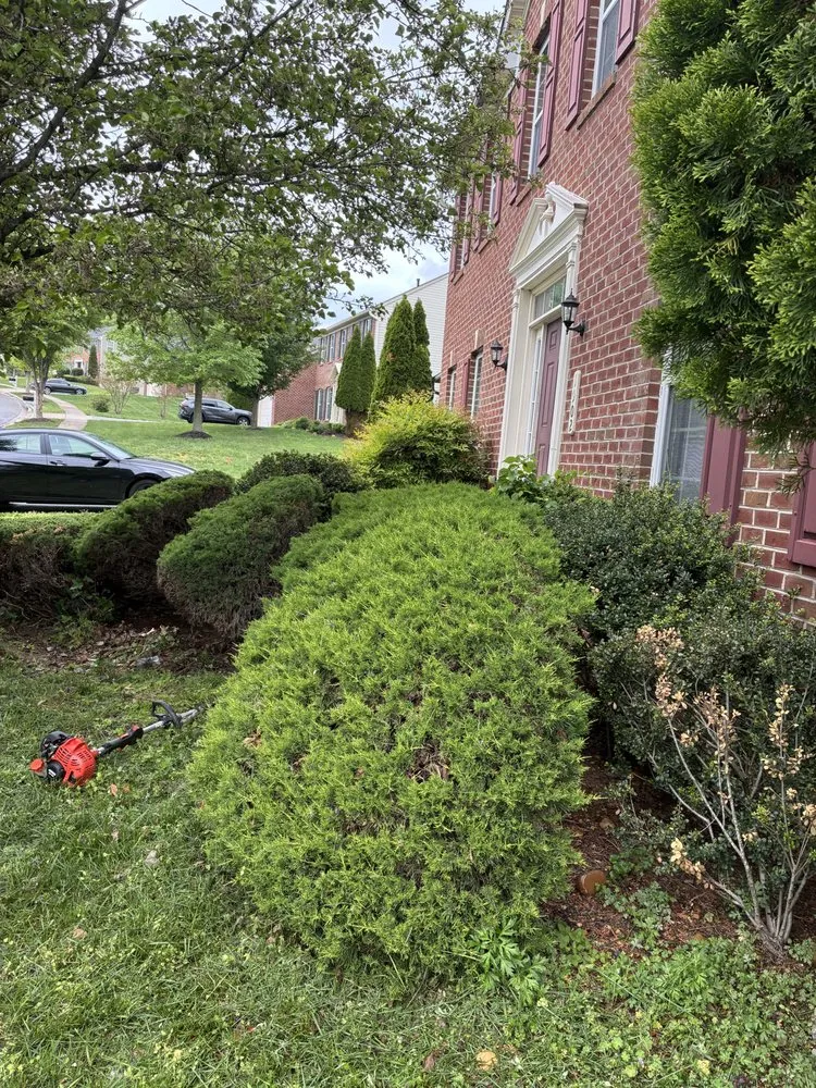 Local outdoor landscaping experts serving Brandywine, MD - Eagle Green Landscaping