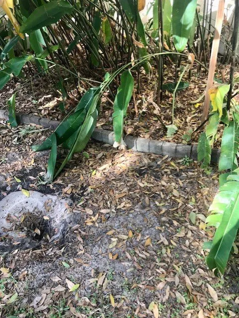 Custom yard cleanup service in Eagle Lake, FL - Eagle Lake Lawn Care