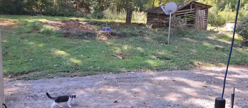 Top-rated lawn care service with custom design across Rutherfordton, NC - Eagle Landscape & Clearing