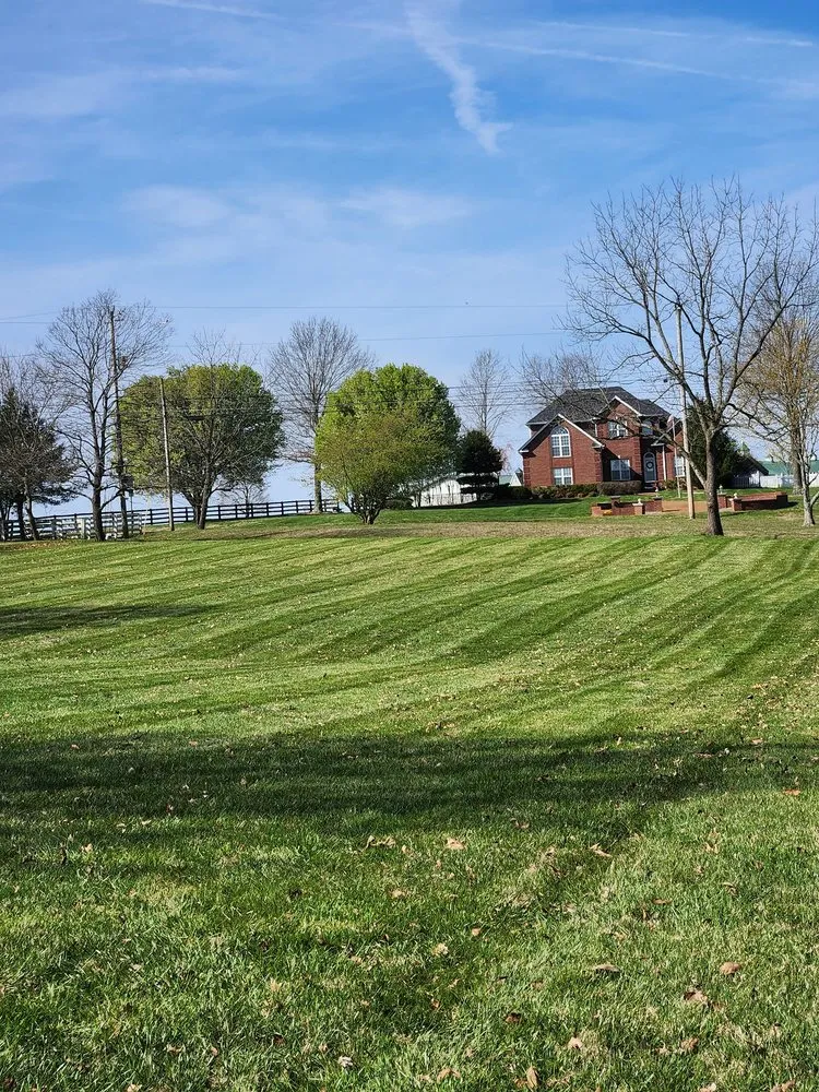 Reliable landscaping services in Cottontown, TN by Eagle Landscape
