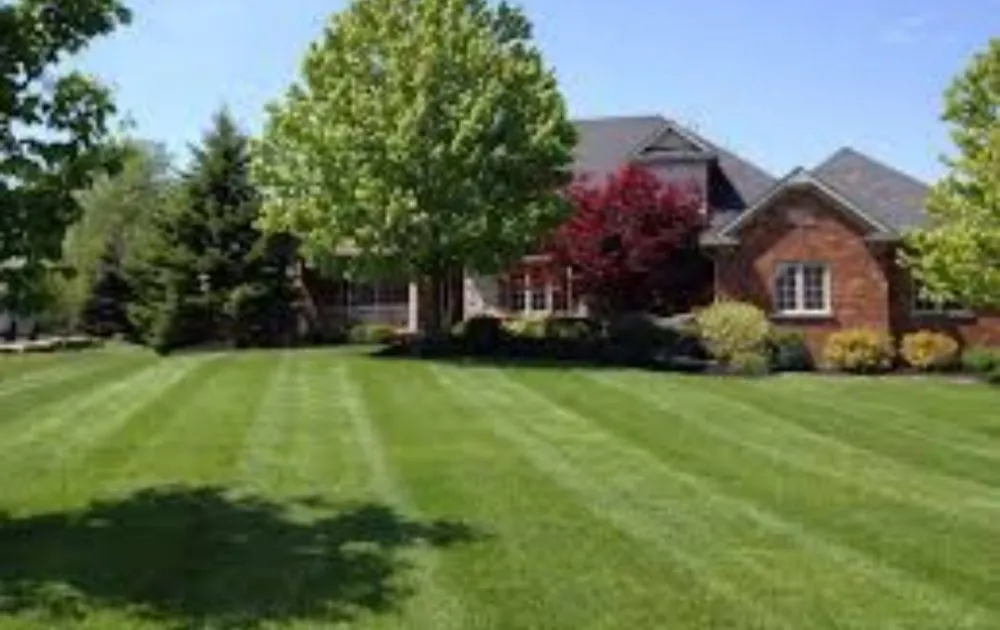 Expert landscape installation for residential properties in Cottontown, TN by Eagle Landscape