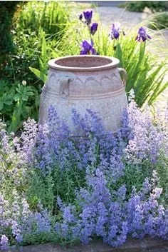 Professional landscape design for beautiful yards across Loveland, CO - Eagle Landscape