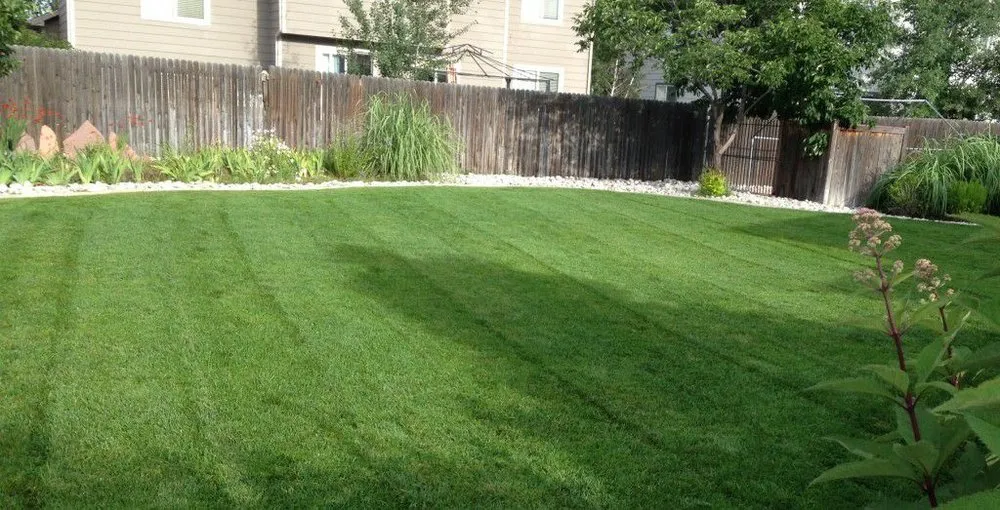 Reliable landscape design for year-round maintenance in Loveland, CO by Eagle Landscape