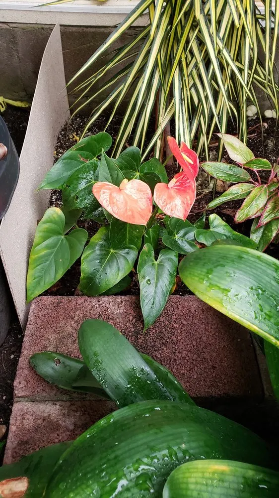 Reliable garden landscaping for year-round maintenance across Loveland, CO - Eagle Landscape