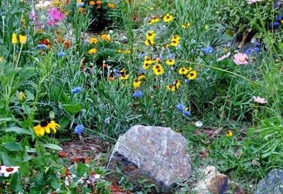 Reliable landscape installation in Loveland, CO by Eagle Landscape