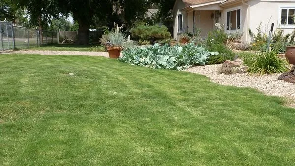 Custom garden landscaping experts serving Loveland, CO - Eagle Landscape