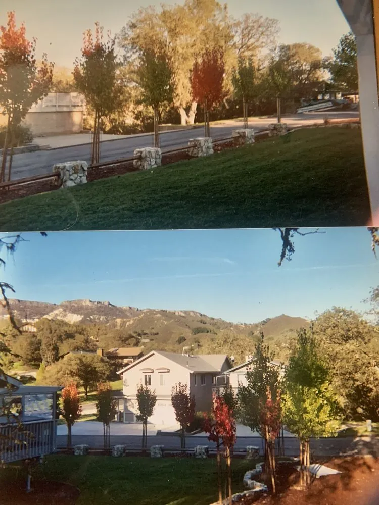 Custom yard cleanup service experts serving Redding, CA - Eagle Landscape