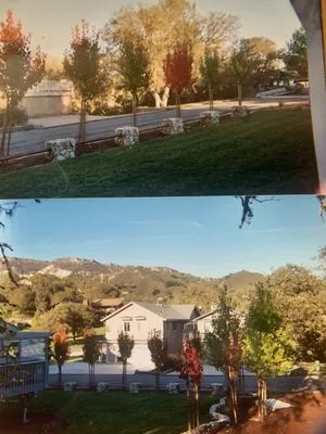 Eagle Landscape Logo