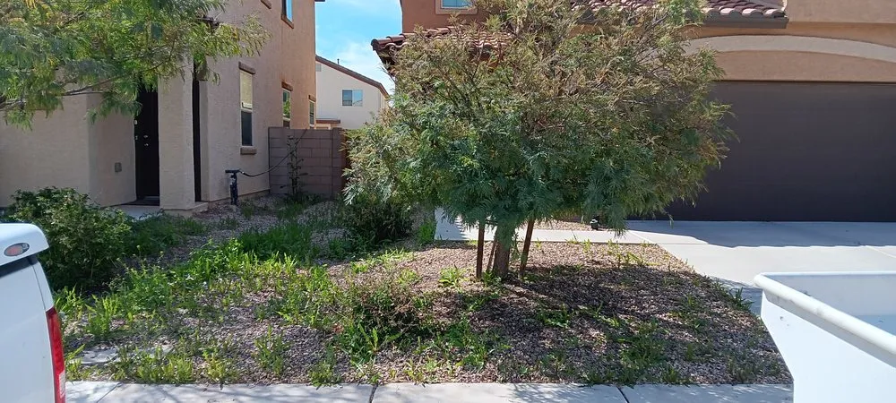 Expert garden landscaping in Tucson, AZ - Eagle landscape