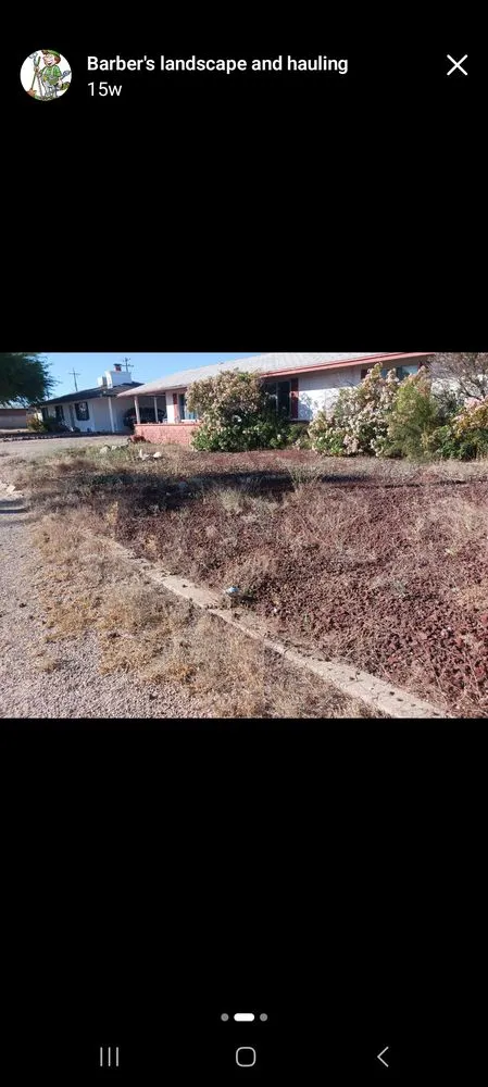 Professional lawn care service in Tucson, AZ by Eagle landscape