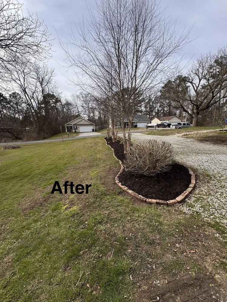 Expert residential landscaping in Chattanooga, TN - Eagle Landscaping & Tree Service