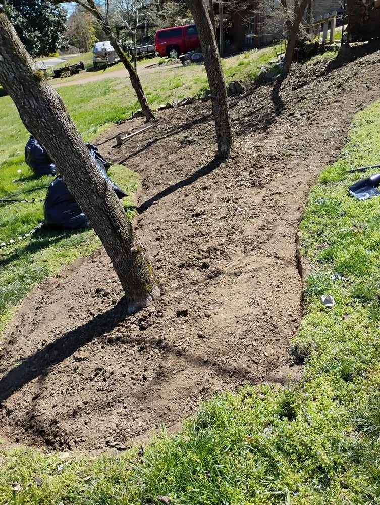 Affordable lawn care service experts serving Chattanooga, TN - Eagle Landscaping & Tree Service