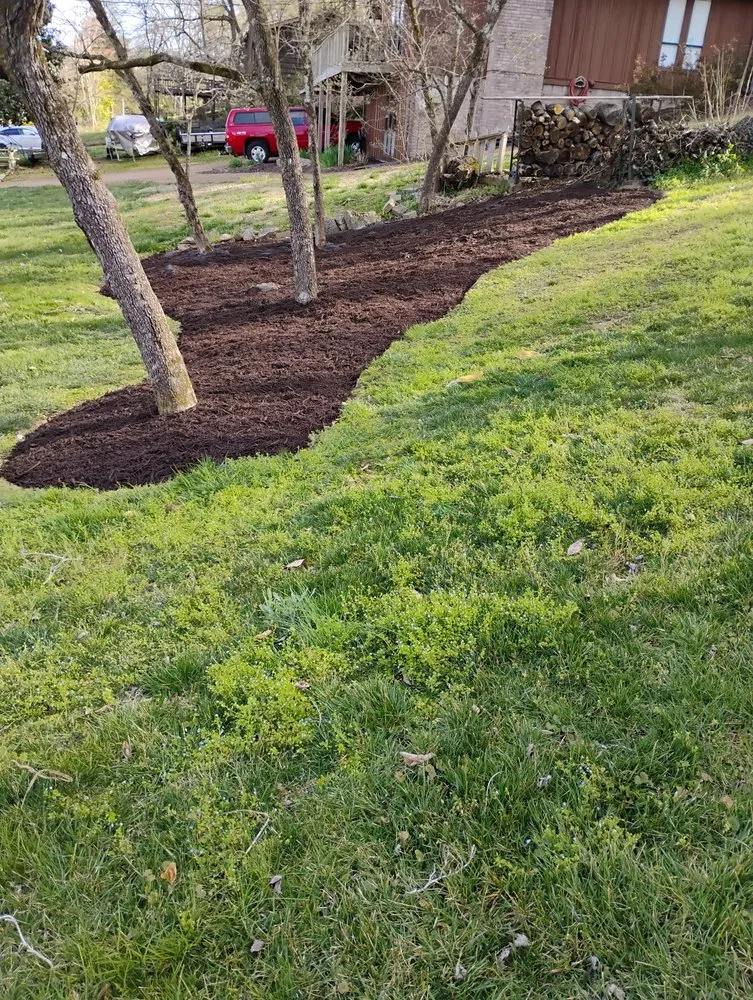 Expert landscaping services in Chattanooga, TN - Eagle Landscaping & Tree Service