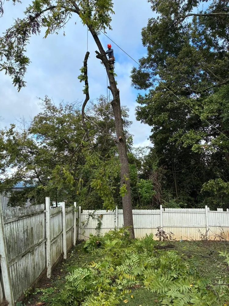 Local lawn mowing service in Chattanooga, TN by Eagle Landscaping & Tree Service