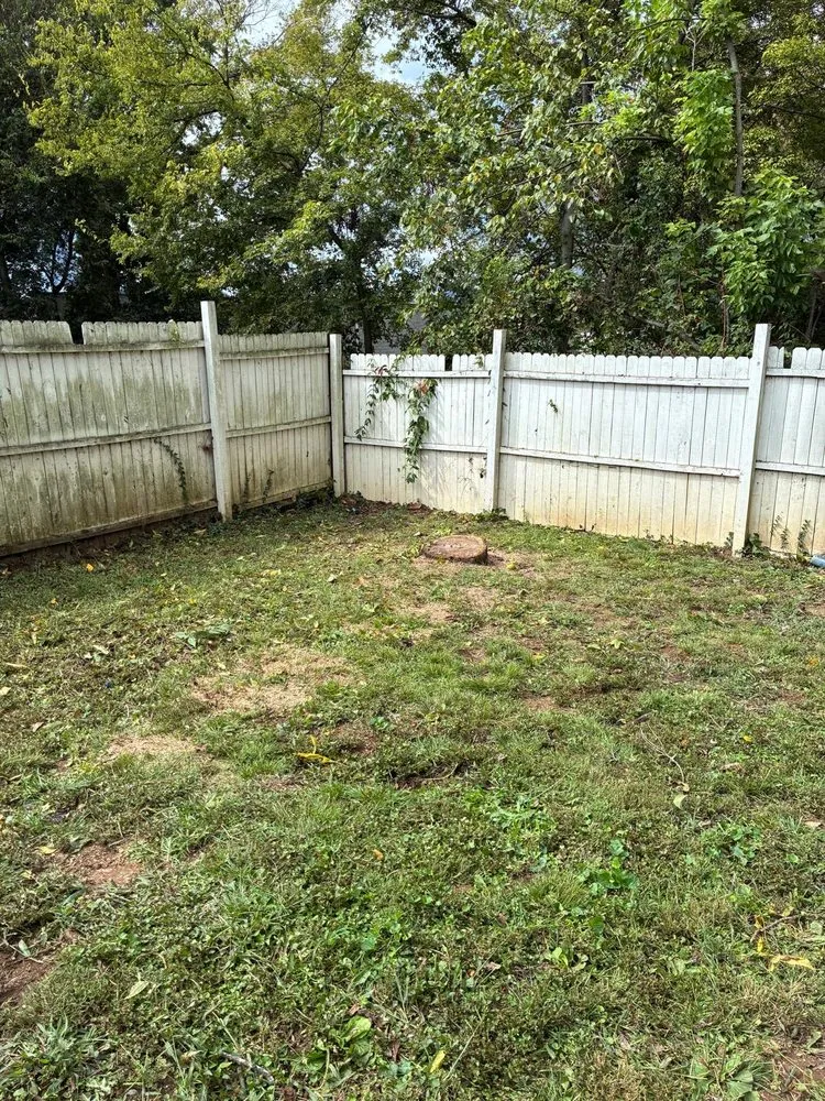 Expert outdoor landscaping for residential properties across Chattanooga, TN - Eagle Landscaping & Tree Service