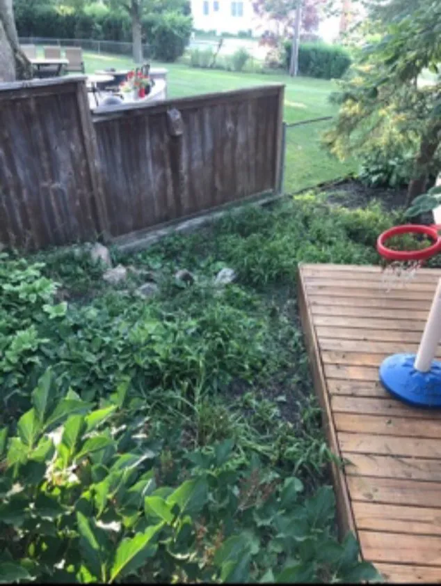 Top-rated yard cleanup service experts serving Columbus, OH - Eagle Landscaping