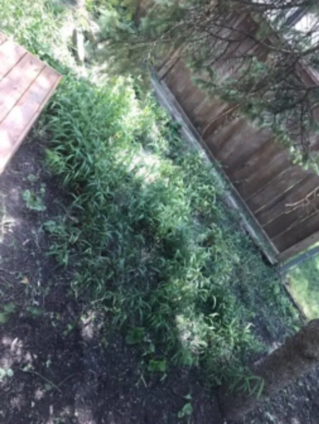 Reliable landscape installation for outdoor upgrades across Columbus, OH - Eagle Landscaping